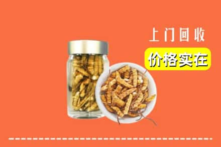 高价收购:菏泽定陶区上门回收散虫草